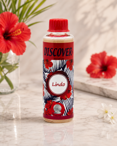 Discover Sihirli Küre Hava Temizleme Makine Solüsyonu Lindo